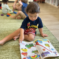 Otto enjoying looking at a book about different vehicles!