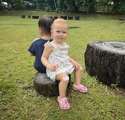 Rosie having a seat on our log!