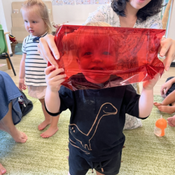 What colour do you see Max!?