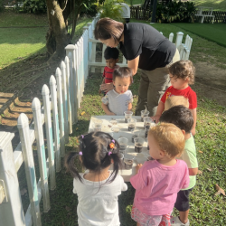 Checking on our basil!