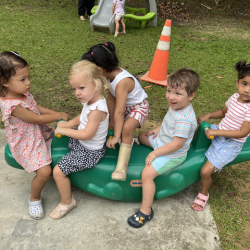 How many children can we get on our crocodile seesaw!