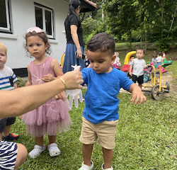 Kavi having a go at milking the cow!