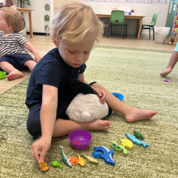 Kingston lining up all the sea animals!