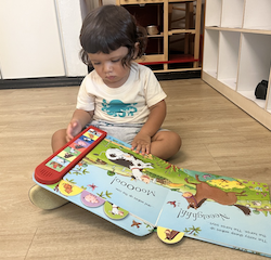 Lucien reading a farm book!