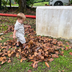 Max enjoying running through all the leaves!