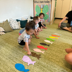 Nate matching colours