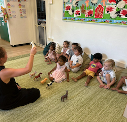 Recapping the names of the farm animals!