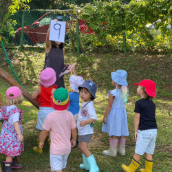 Math activity - numbers hunt!
