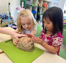 Sensory play - pumpkin exploration!