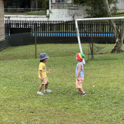 Discussion on the field