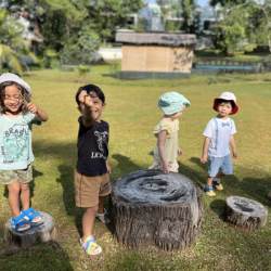 Dragonflies having fun outdoors!