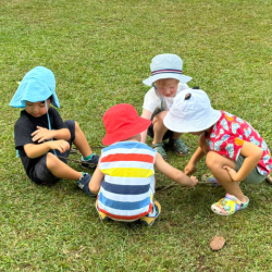 Exploring our garden