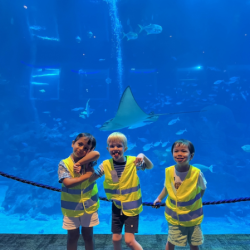 Boys are enjoying the Resort world.