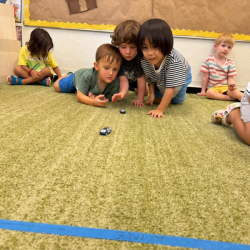 Car race!