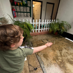 Edward catching rain drops!