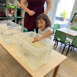 Robin is investing objects that sink & float.