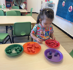 Tahlia is sorting by colour.