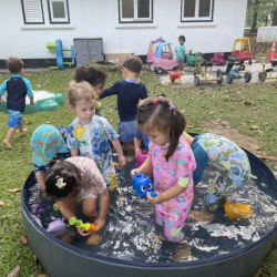 Fireflies enjoying splash time