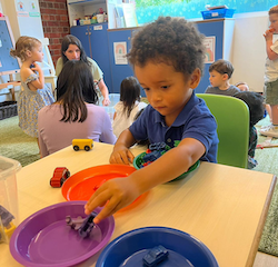 Teddy is sorting by colour.