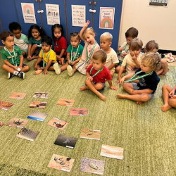 Desert animals game.