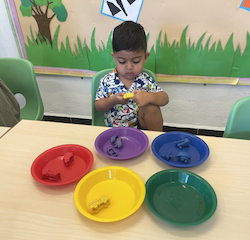 Kai sorting  by colour