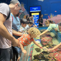 Spike is touching a starfish at the touch pool!