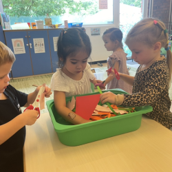Working on our fine motor skills using child safety scissors to cut paper.
