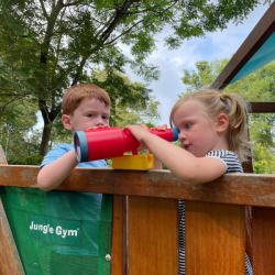 Let's explore up the tree house.