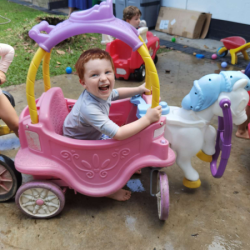 Our Prince in a horse carriage.