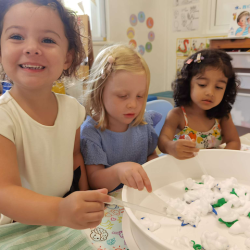 Let's discover the sea creatures hiding.