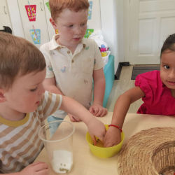 Let's plant some mung beans.
