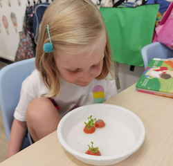 Look how they have grown!