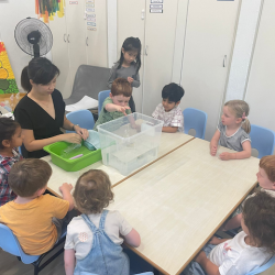 Make a guess, does it sink/float?