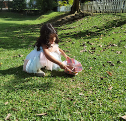 Picking sticks for craft work.