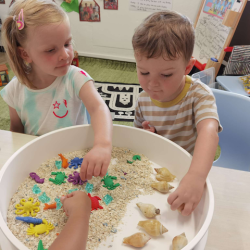 The sea creatures are hiding in the sand, let's find them.