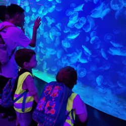 We had so much fun at the aquarium!