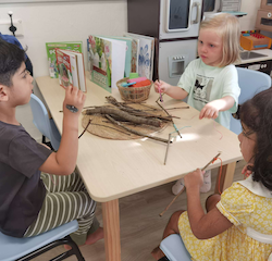 What can we do with yarns and twigs? Let's explore.