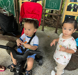 Mateo and Nate trying to spot some monkeys!