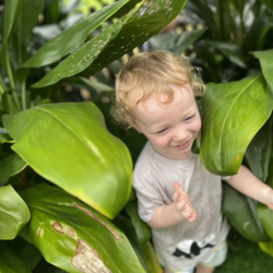 Arthur going on a tiger hunt!
