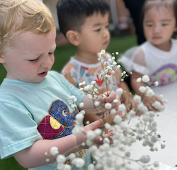 Arthur popping baby breaths into a holder .