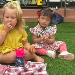 Having a Lunar New Year celebration picnic!