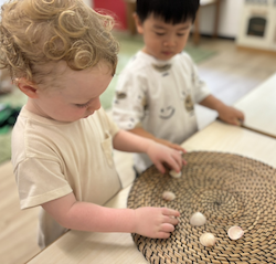 Arthur learning all bout sea shells!