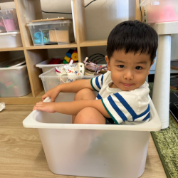 Wesley fitting himself in a box 😂