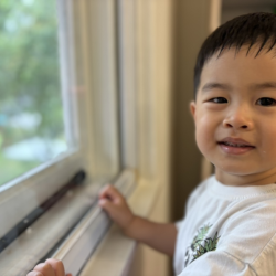 Wesley looking out the window for ‘birdies taking a shower’ as he says 🤣