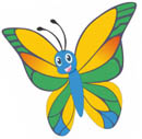 Butterflies Class Information