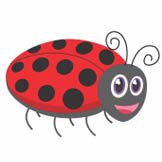 Ladybirds